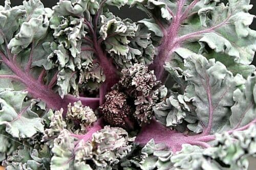 Pfostenadapter 45 Grad 45° für Pfosten 40x60 Pfostenverlängerung Zaunerhöhung — Zaunpfosten 60×40mm feuerverzinkt für Doppelstabmatten — Ersatz für rostige Pfosten, schraubbar