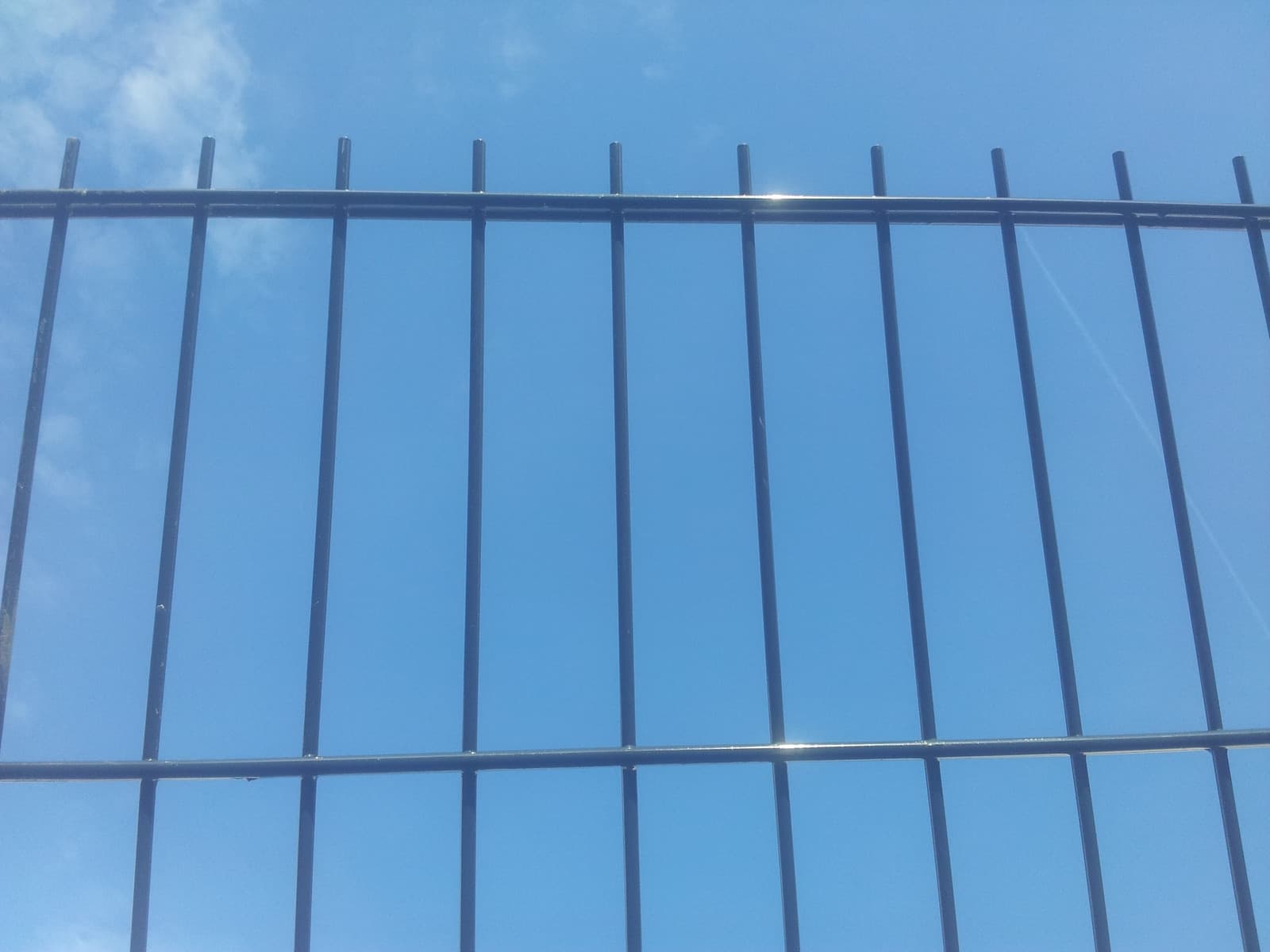 12,5m DOPPELSTABZAUN 2430mm Stahlmattenzaun Metall Gittermatten Zaungittermatte — feuerverzinkter Doppelstabmattenzaun — Ersatz für Maschendraht-, Jäger- oder Holzzaun, 10 Jahre Rostgarantie